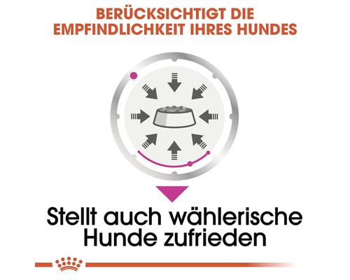 Symbolbild: Royal Canin Hundenahrung für sensible Hunde und wählerische Hunde