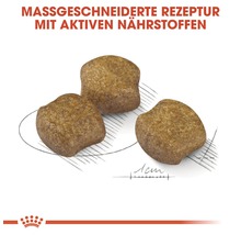 Drei Kroketten Hundefutter mit aktiven Nährstoffen