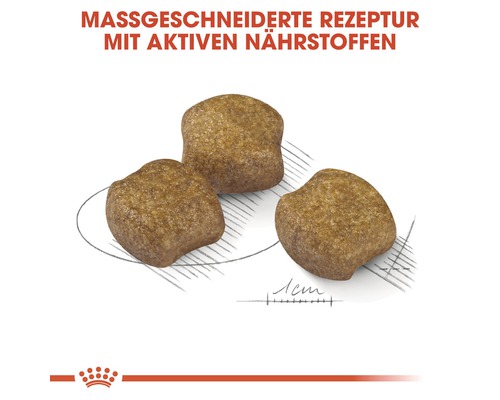 Drei Kroketten Hundefutter mit aktiven Nährstoffen