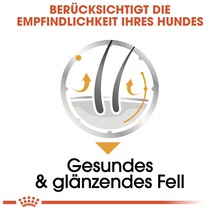 Symbol für gesundes und glänzendes Fell für Hunde