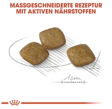 Drei Stücke Hundefutter auf einem Teller mit einem Lineal.
