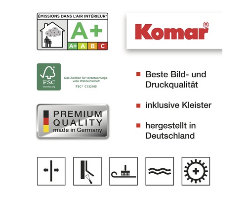 Informationen zu Produkteigenschaften wie Emissionsklasse, FSC Siegel, Premium Qualität, Kleister inklusive und Bildqualität