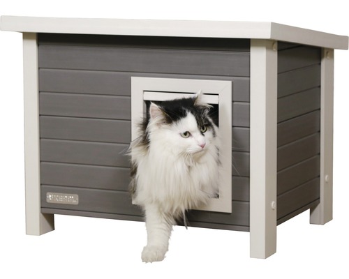 Chat sortant d''une maison pour chat grise avec une chatière