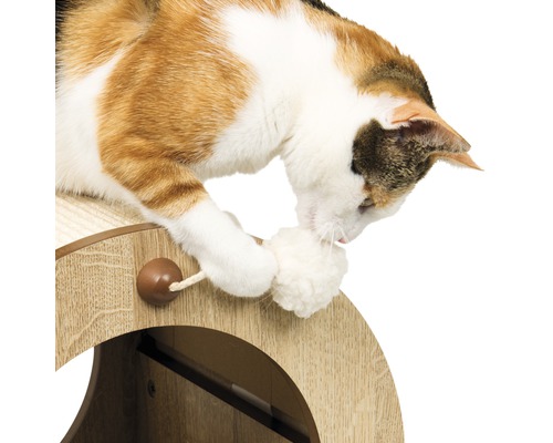 Katze spielt mit einem Ball an einem Katzenmöbelstück