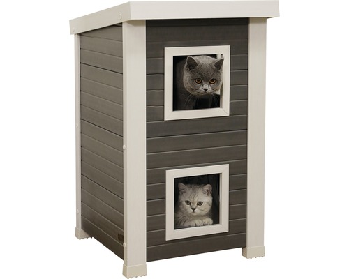 Katzenhaus mit zwei Katzen, die aus den Fenstern schauen