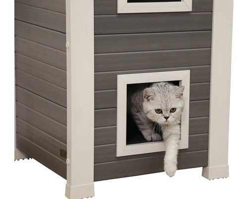 Katze betritt ein graues Katzenhaus mit weißem Rahmen