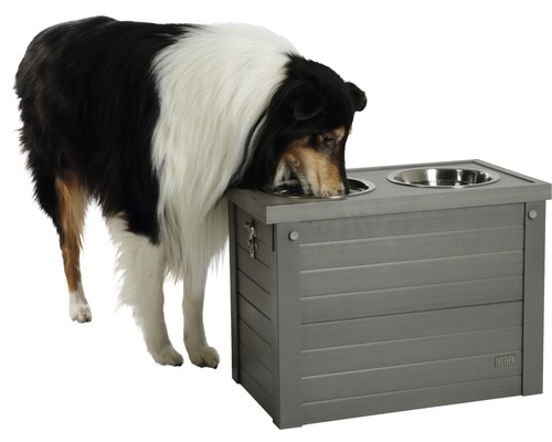 Hund trinkt aus einem erhöhten Futtertrog mit zwei Edelstahlnäpfen.