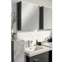 Armoire de toilette FACKELMANN Denver 60 x 16 x 68,5 cm anthracite 2 portes led IP 20