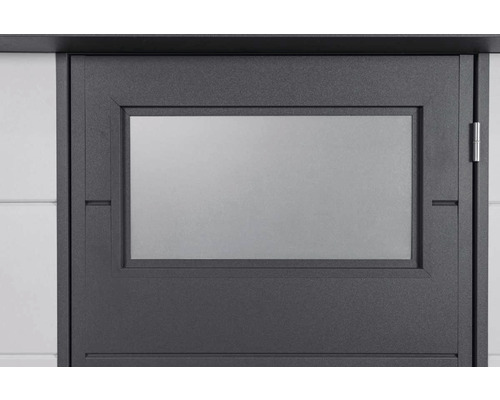 Vue détaillée d''une porte de jardin avec insert en verre rectangulaire