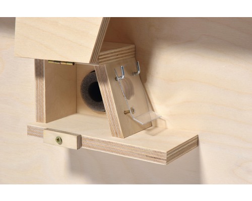 Geöffnete Vogelhauskonstruktion aus Holz mit seitlicher Tür und Verschluss