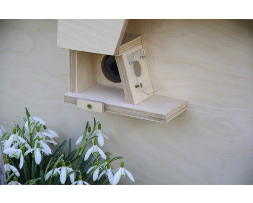 Holz Vogelhaus mit Schneeglöckchen