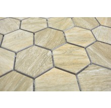 Carreaux de mosaïque aspect bois en forme d''hexagone