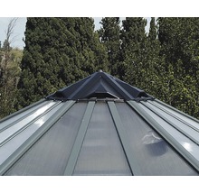 Serre Palram – Canopia Oasis 12 FT avec cadre de fondation, fenêtre à lamelle, gouttière 316 x 363 cm anthracite