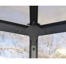Serre Palram – Canopia Oasis 12 FT avec cadre de fondation, fenêtre à lamelle, gouttière 316 x 363 cm anthracite