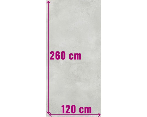 XXL Wand- und Bodenfliese Fresh Ash Natural 120x260 cm Produktabmessungen: 260 cm Höhe, 120 cm Breite