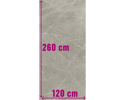 XXL Wand- und Bodenfliese Always Taupe Natural 120x260 cm Fliese mit den Maßen 260 cm mal 120 cm.