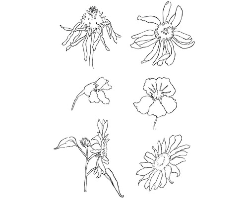 Illustration verschiedener Blumensorten