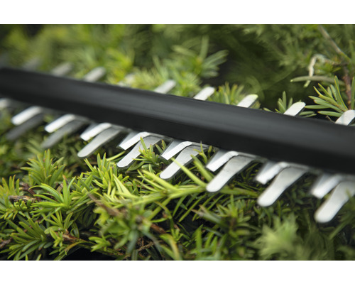 Detailaufnahme der Klingen einer Heckenschere beim Schneiden von Grünpflanzen.