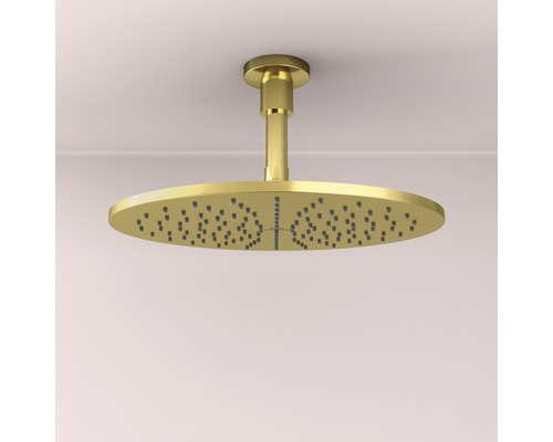 Runde Kopfbrause zur Deckenmontage