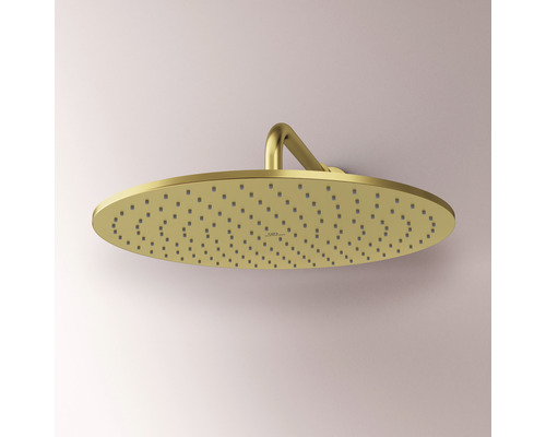 Runde Kopfbrause zur Montage an der Decke