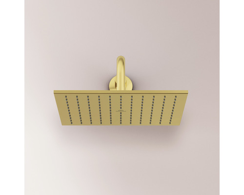 Rechteckiger Duschkopf zur Deckenmontage