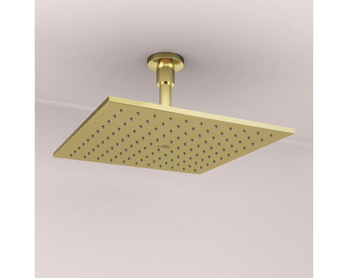 Rechteckiger Duschkopf für die Deckenmontage