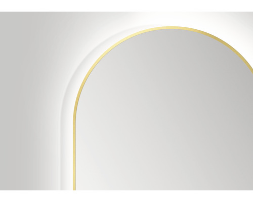 Détail d''un miroir avec cadre doré