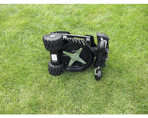 Tondeuse à gazon sur herbe