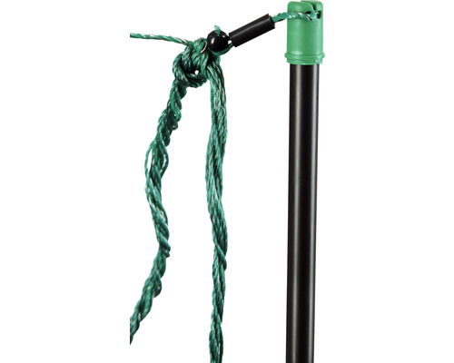 Vue détaillée d''une corde de support pour plantes grimpantes avec détail de nœud et tige