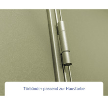Gartenhaus Hörmann EcoStar Elegant inkl. Alu-Bodenrahmenprofil M984, Typ 2, RAL6013 Einzeltür 247,9 x 283,4 cm schilfgrün