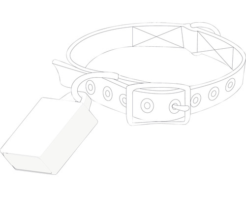 Hundehalsband mit Adressanhänger