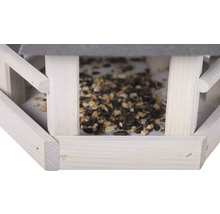 Maison pour oiseaux avec nourriture pour oiseaux