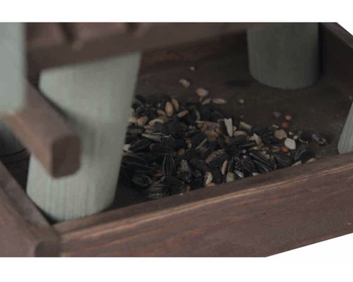 Gros plan d''un abreuvoir pour oiseaux avec des graines