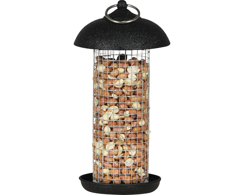 Mangeoire à oiseaux en treillis métallique remplie de cacahuètes