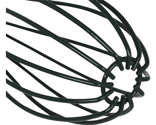 Support pour plantes en métal pour soutenir la croissance des plantes