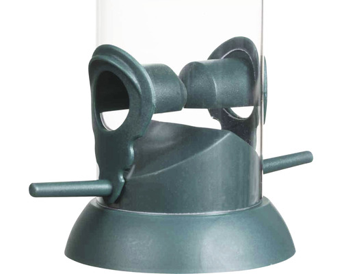 Vue détaillée d''un lieu d''alimentation pour oiseaux sauvages avec distributeur de nourriture