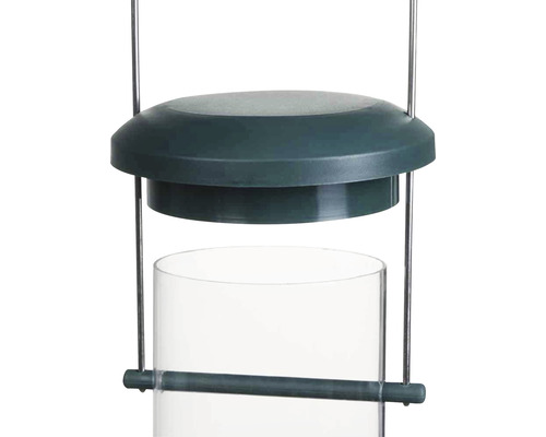 Mangeoire pour oiseaux avec réservoir transparent et suspension