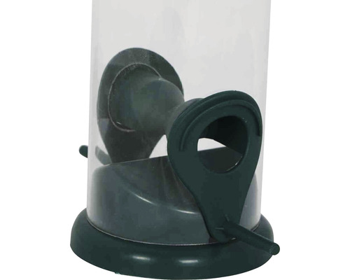 Vue détaillée d''une station d''alimentation pour oiseaux avec distributeur de nourriture