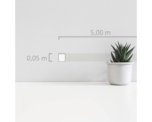 Un rouleau de bordure mesurant 0,05 mètre sur 5,00 mètres à côté d''une plante d''intérieur en pot