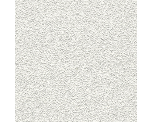Papier peint intissé 1038-19 Meistervlies Protect crépi fin Fond d''enduit structuré