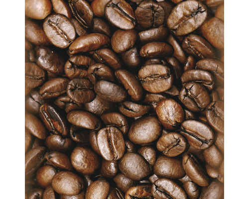 Gros plan de grains de café