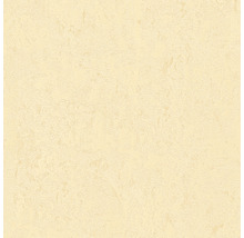 Papier peint intissé 33544-2 Romantico & Hermitage 10 uni beige crème-thumb-3