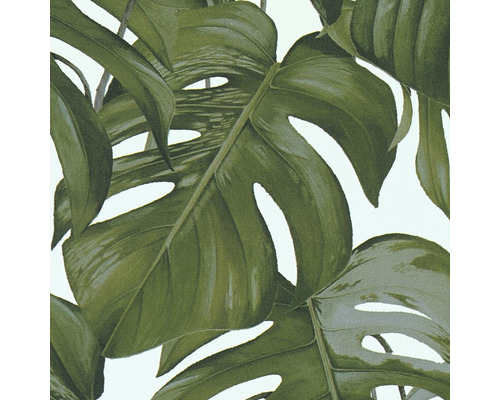 Tapete mit Monstera-Blättern