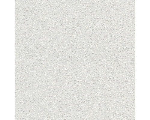 Papier peint intissé 5752-10 Meistervlies ProProtect crépi fin blanc Gros plan d''un papier ingrain blanc