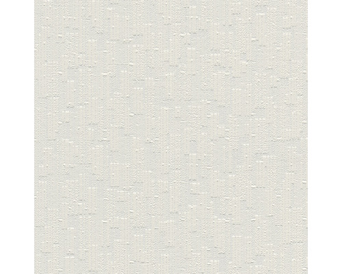 Papier peint intissé 5865-13 Meistervlies ProProtect crépi tissu grossier blanc