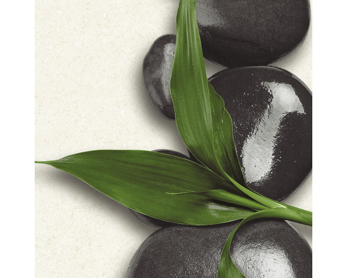 Pierres noires décoratives avec feuilles vertes