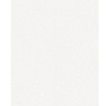 Papier peint intissé 2487-18 Meistervlies ProProtect structure crépi fine blanc