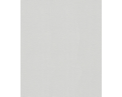 Toile vierge pour peinture