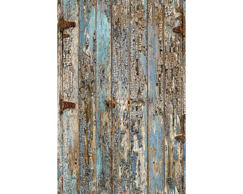 Porte en bois avec peinture écaillée et ferrures en fer