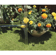 Scène avec pots de fleurs et gazon synthétique